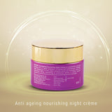 Lotus Herbals YouthRx Anti Ageing Nourishing Night Cream